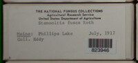 Image Associated With the Occurence